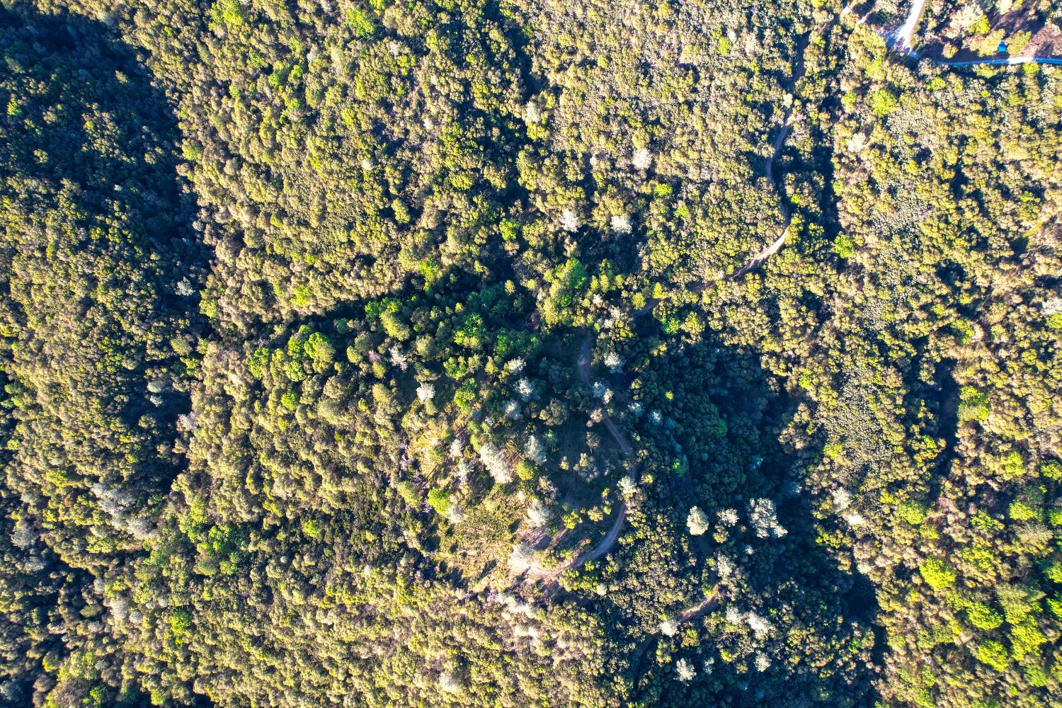 0 Ridge View Drive Sutter Creek, CA 95685 - Photo 11 of 32