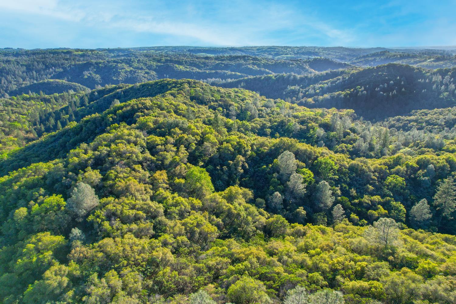0 Ridge View Drive Sutter Creek, CA 95685 - Photo 12 of 32