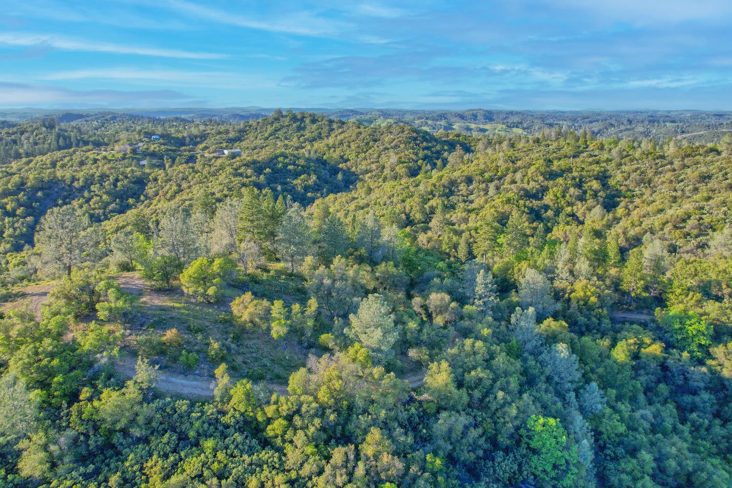 0 Ridge View Drive Sutter Creek, CA 95685 - Photo 15 of 32