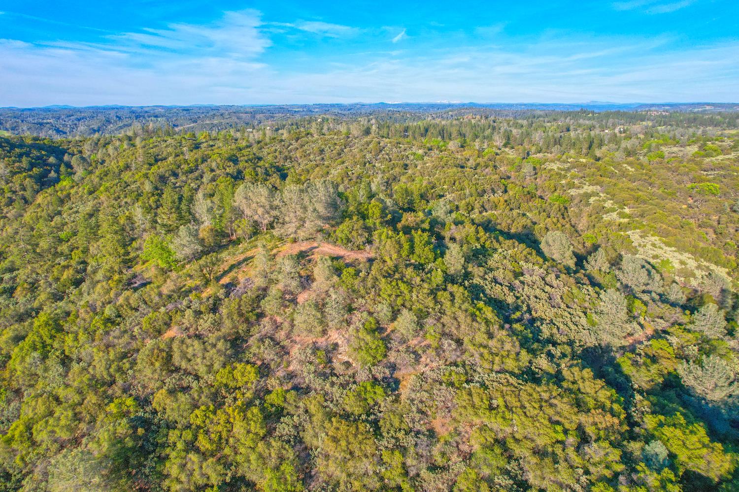 0 Ridge View Drive Sutter Creek, CA 95685 - Photo 17 of 32