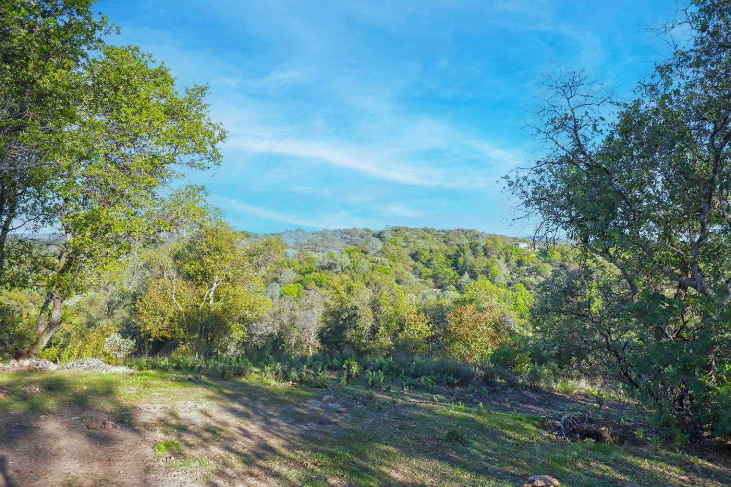 0 Ridge View Drive Sutter Creek, CA 95685 - Photo 20 of 32