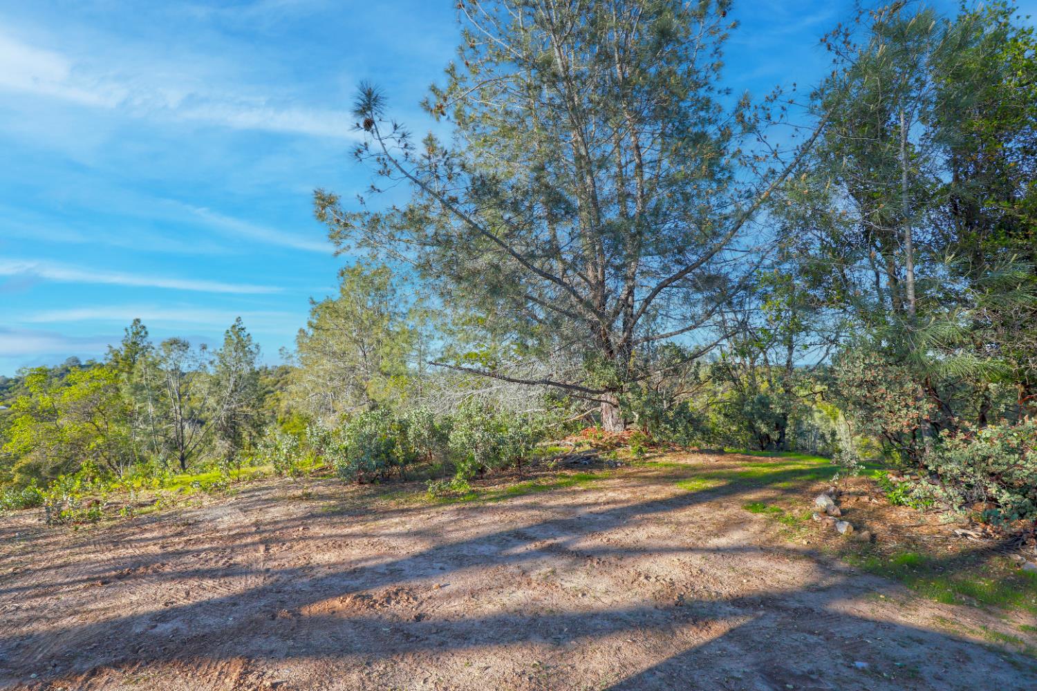 0 Ridge View Drive Sutter Creek, CA 95685 - Photo 2 of 32