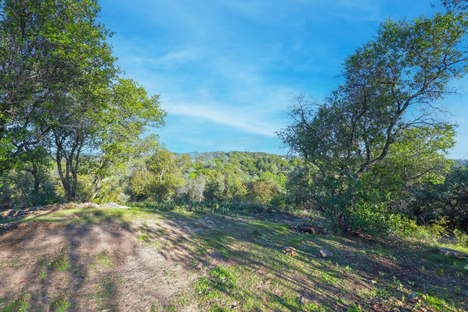 0 Ridge View Drive Sutter Creek, CA 95685 - Photo 21 of 32
