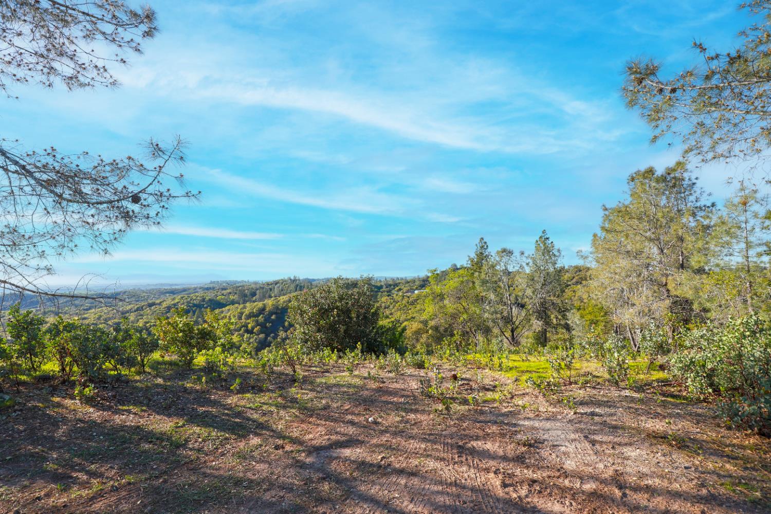 0 Ridge View Drive Sutter Creek, CA 95685 - Photo 22 of 32