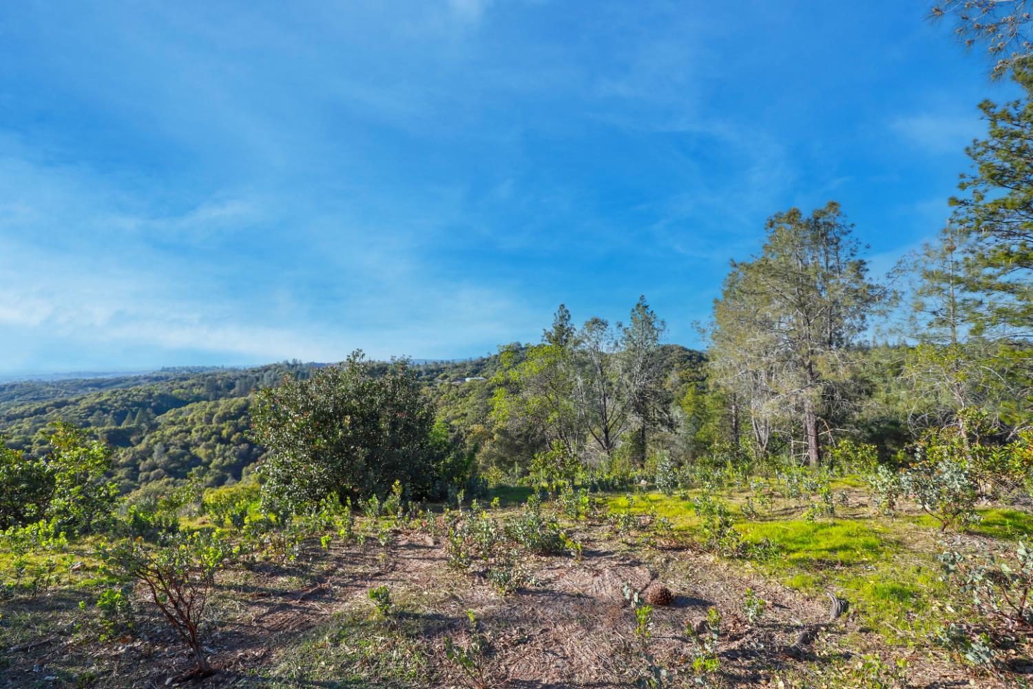 0 Ridge View Drive Sutter Creek, CA 95685 - Photo 23 of 32