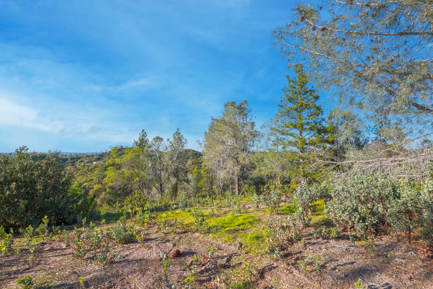 0 Ridge View Drive Sutter Creek, CA 95685 - Photo 24 of 32