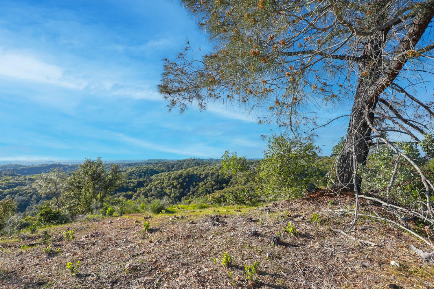 0 Ridge View Drive Sutter Creek, CA 95685 - Photo 25 of 32