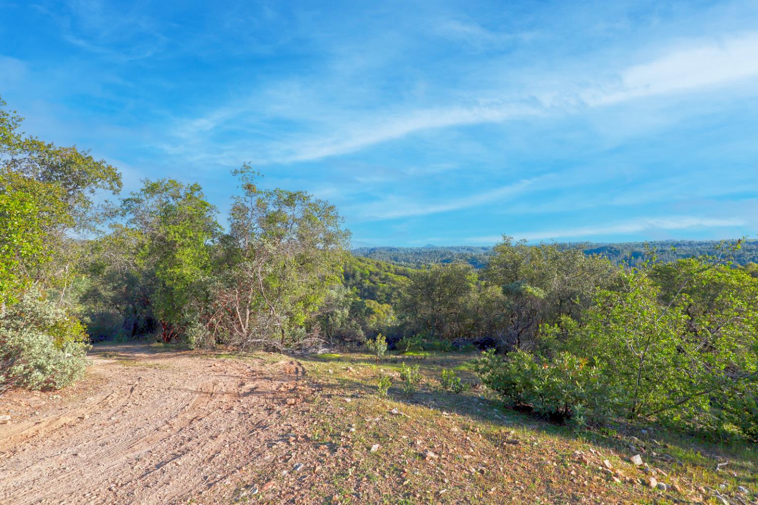 0 Ridge View Drive Sutter Creek, CA 95685 - Photo 28 of 32