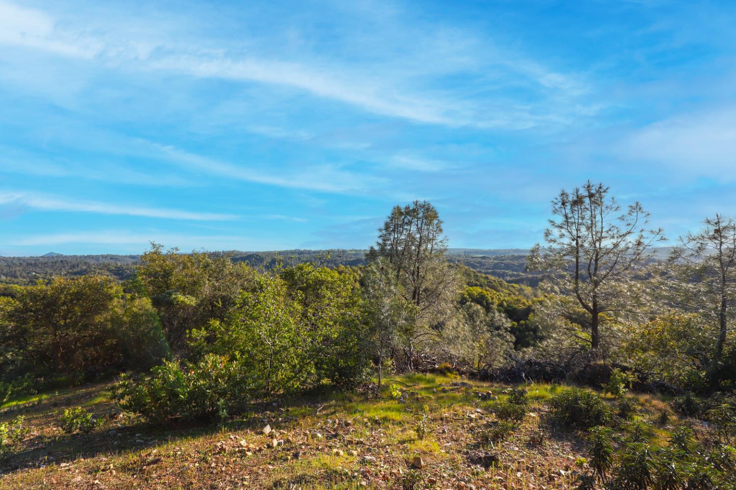 0 Ridge View Drive Sutter Creek, CA 95685 - Photo 29 of 32