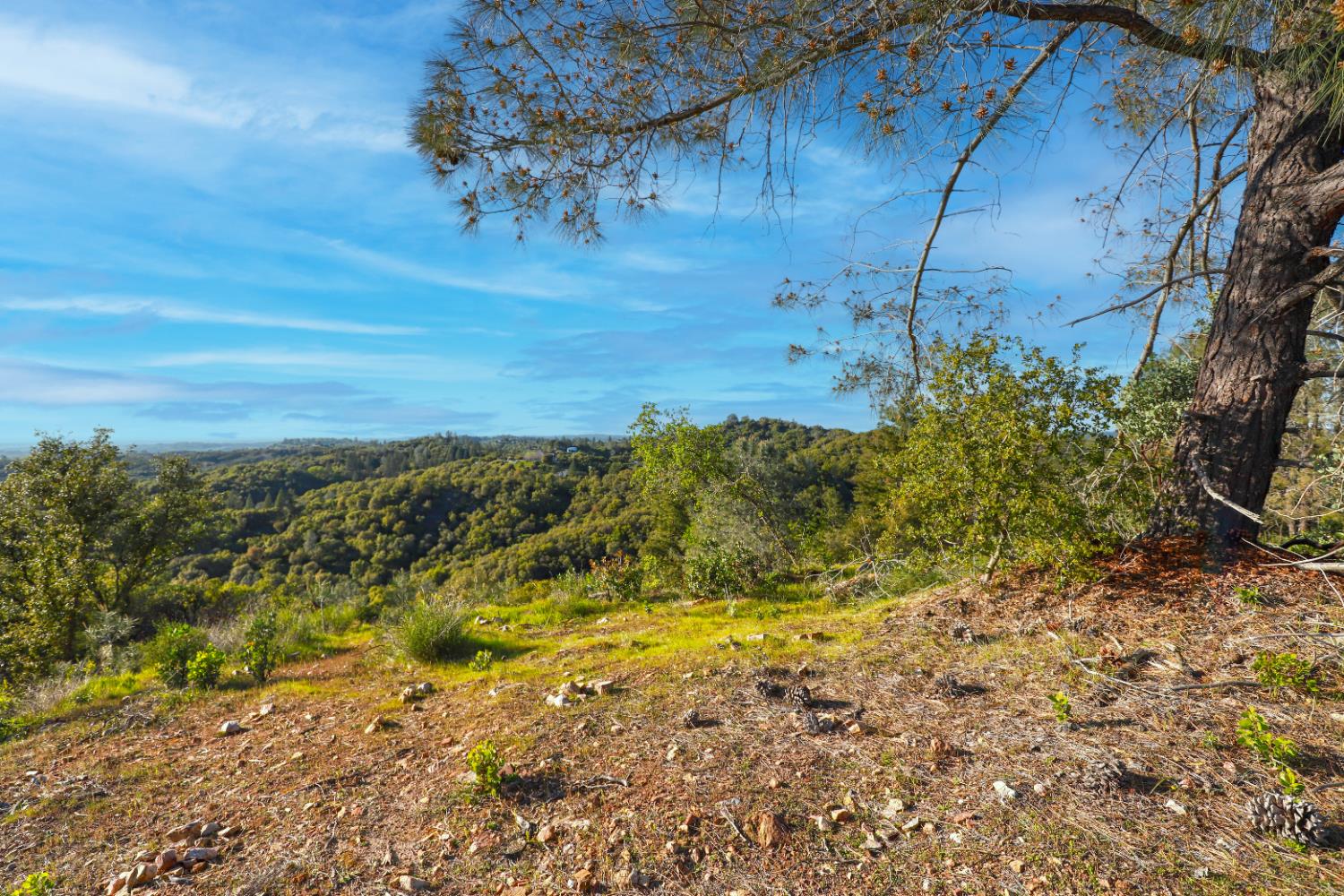 0 Ridge View Drive Sutter Creek, CA 95685 - Photo 31 of 32