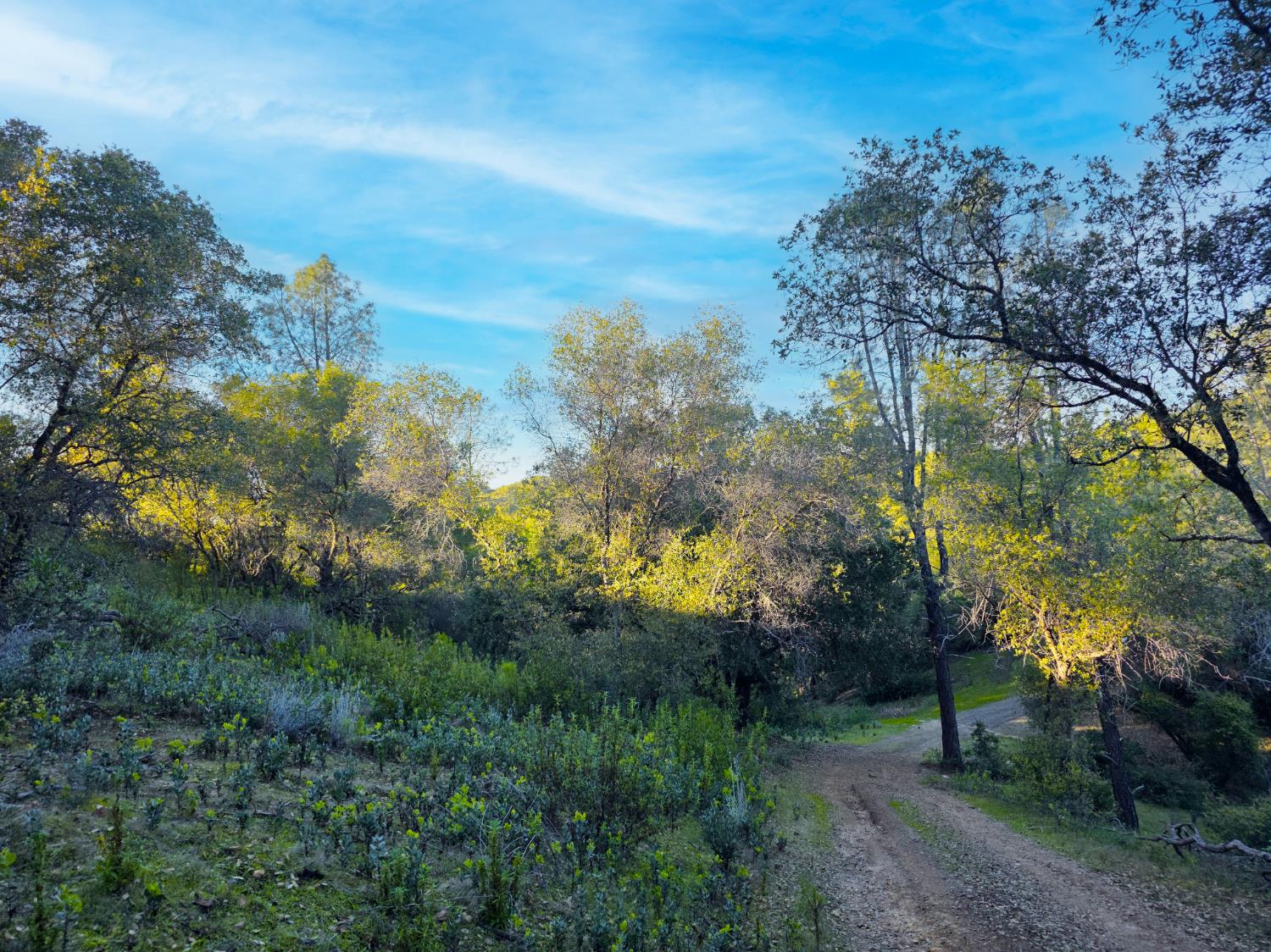 0 Ridge View Drive Sutter Creek, CA 95685 - Photo 32 of 32