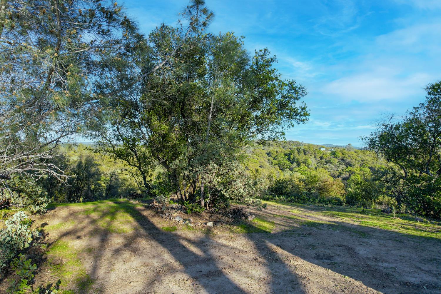 0 Ridge View Drive Sutter Creek, CA 95685 - Photo 4 of 32