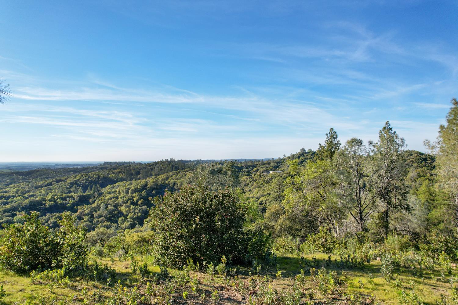 0 Ridge View Drive Sutter Creek, CA 95685 - Photo 5 of 32