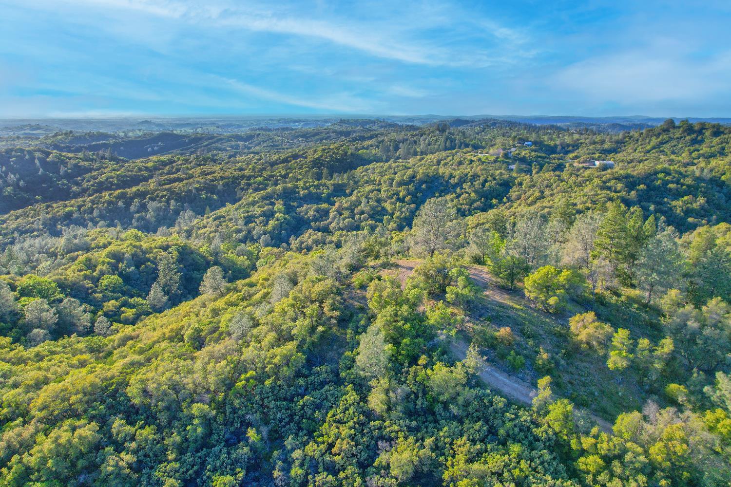 0 Ridge View Drive Sutter Creek, CA 95685 - Photo 7 of 32