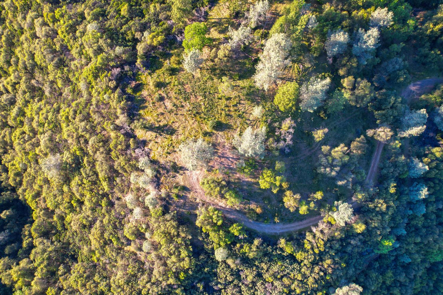 0 Ridge View Drive Sutter Creek, CA 95685 - Photo 8 of 32