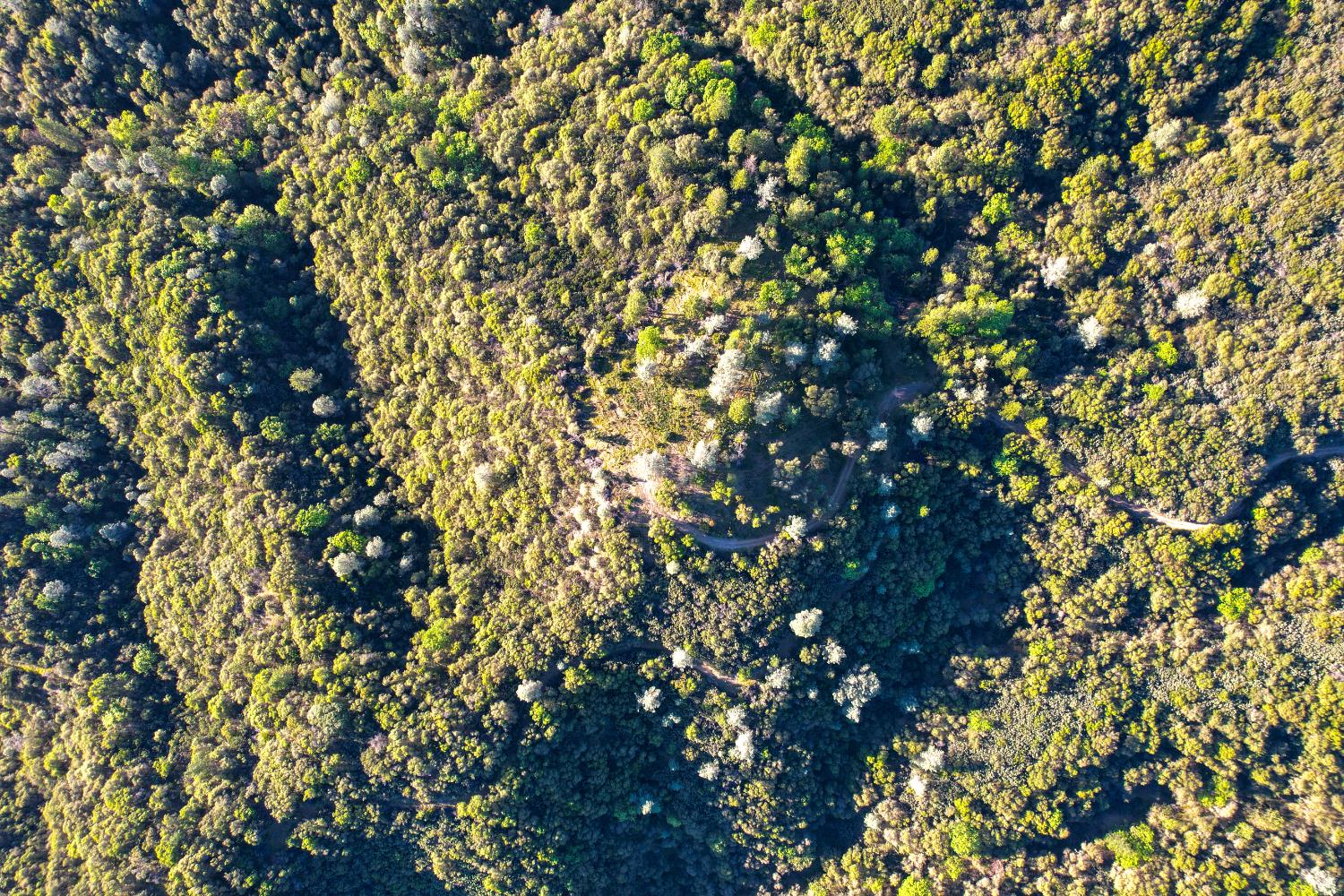 0 Ridge View Drive Sutter Creek, CA 95685 - Photo 10 of 32