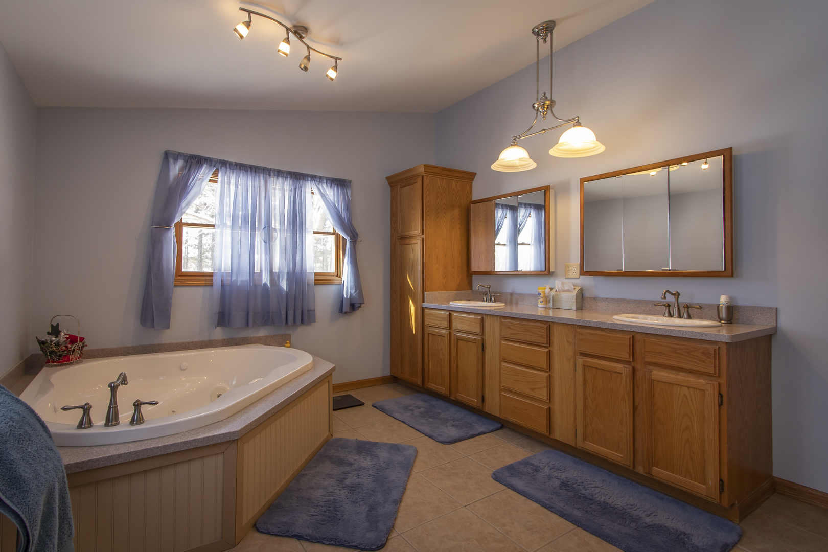 6546 Cherry Valley Road Kingston, IL 60145 - Photo 15 of 51 a bathroom with a tub a sink and a large mirror