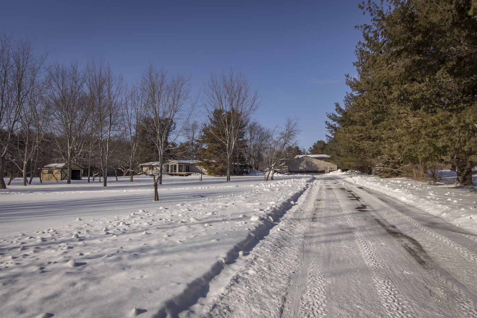 6546 Cherry Valley Road Kingston, IL 60145 - Photo 39 of 51 a view of road with trees
