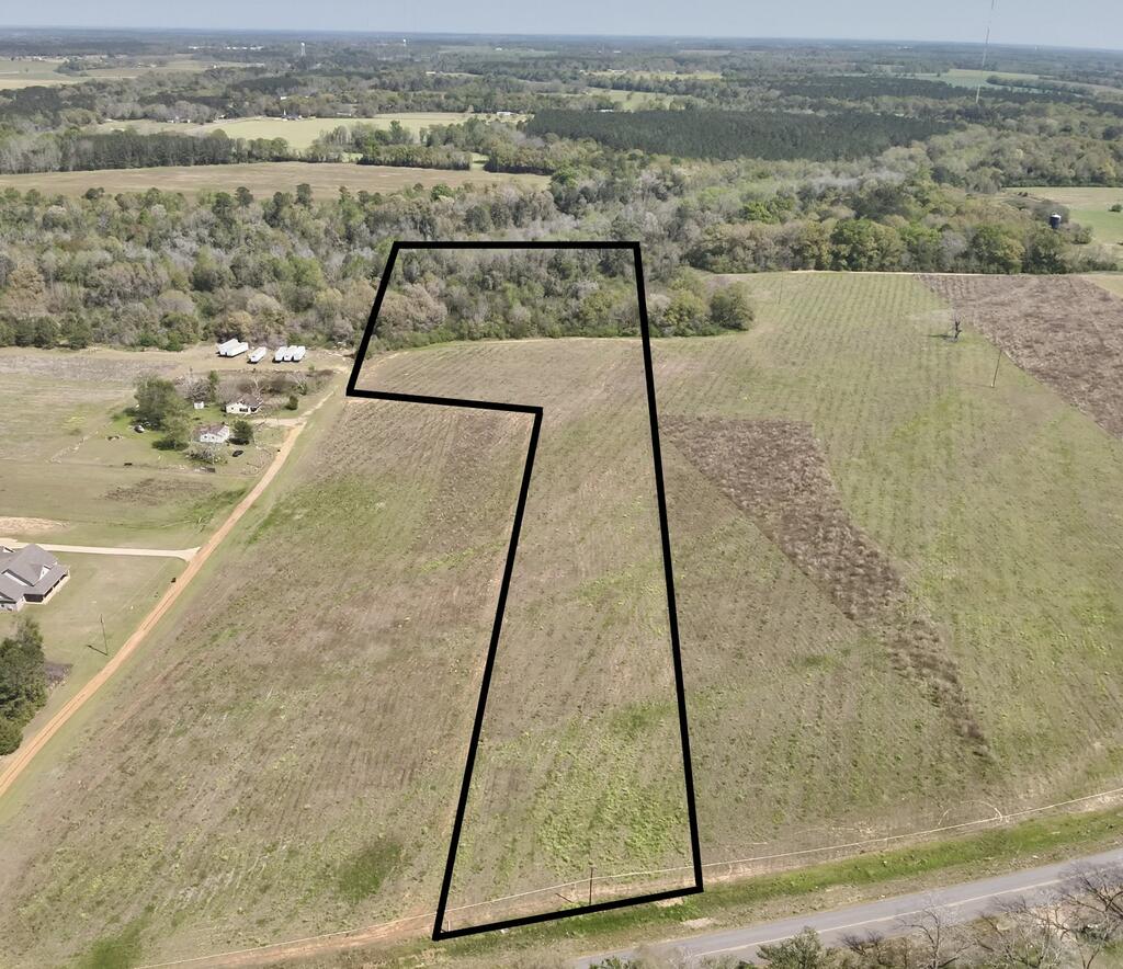 8.53-acres Omussee Road Dothan, AL 36303 - Photo 4 of 10 Gallery Image 4