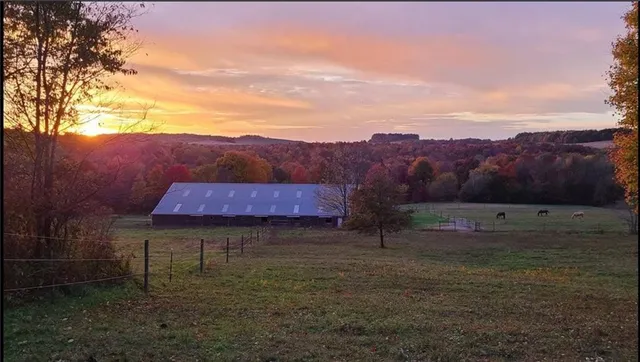 a view of a backyard with a mountain