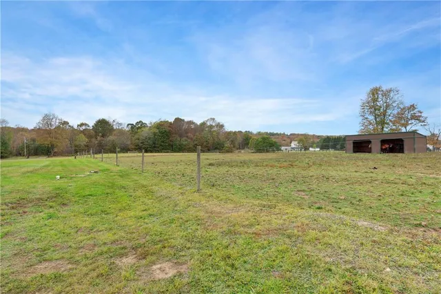 a view of a field with an tree