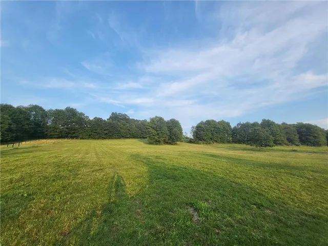 a view of an ocean from a yard