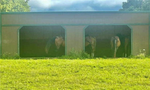 a view of swimming pool