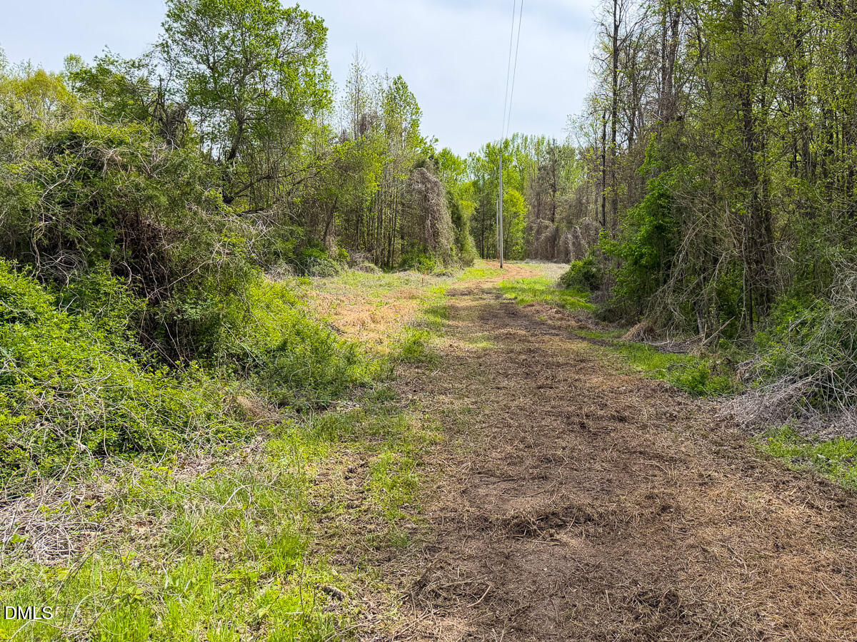 0 Pentecost Road Cedar Grove, NC 27231 - Photo 27 of 45