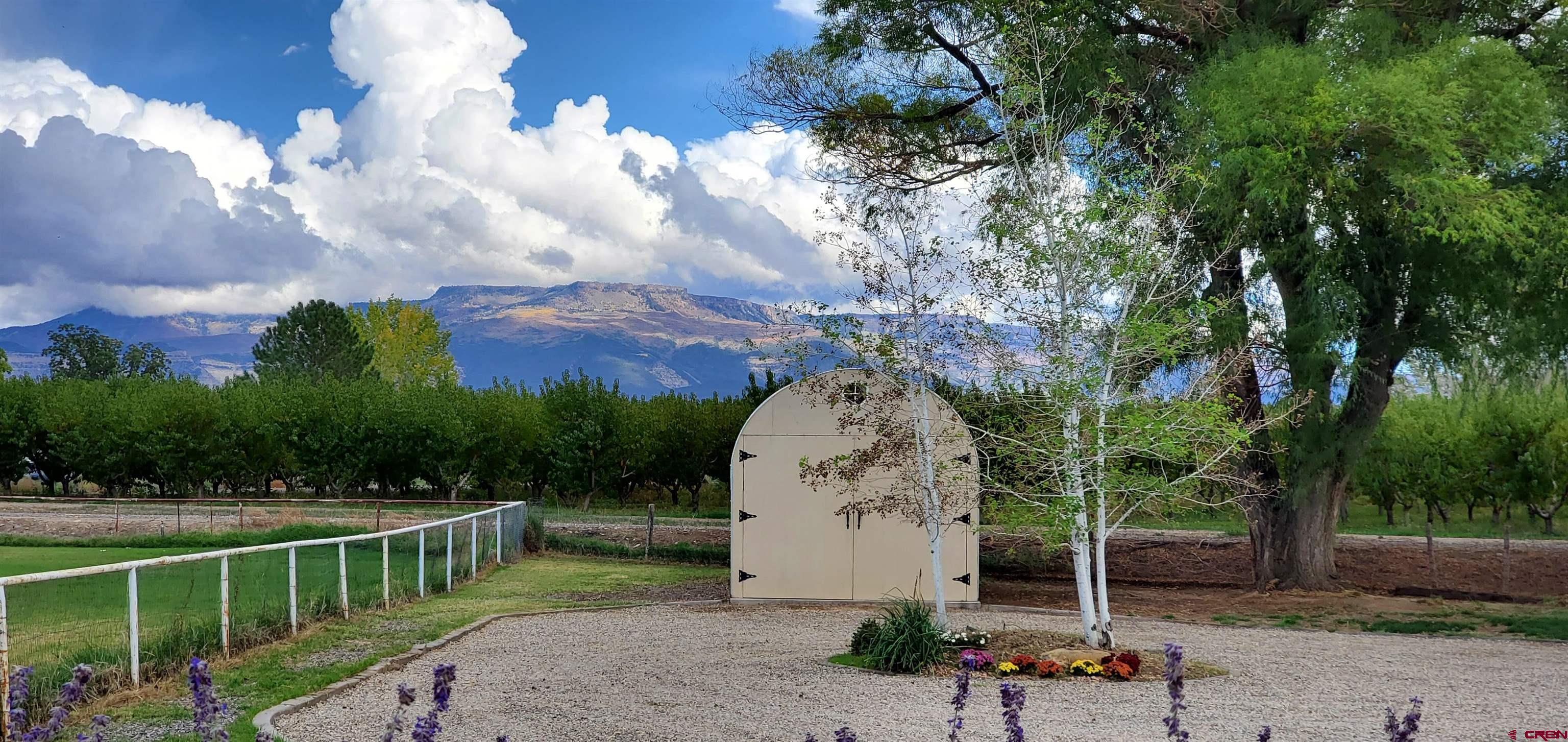 282 32 1/2 Road Grand Junction, CO 81503 - Photo 24 of 33 Gallery Image 24