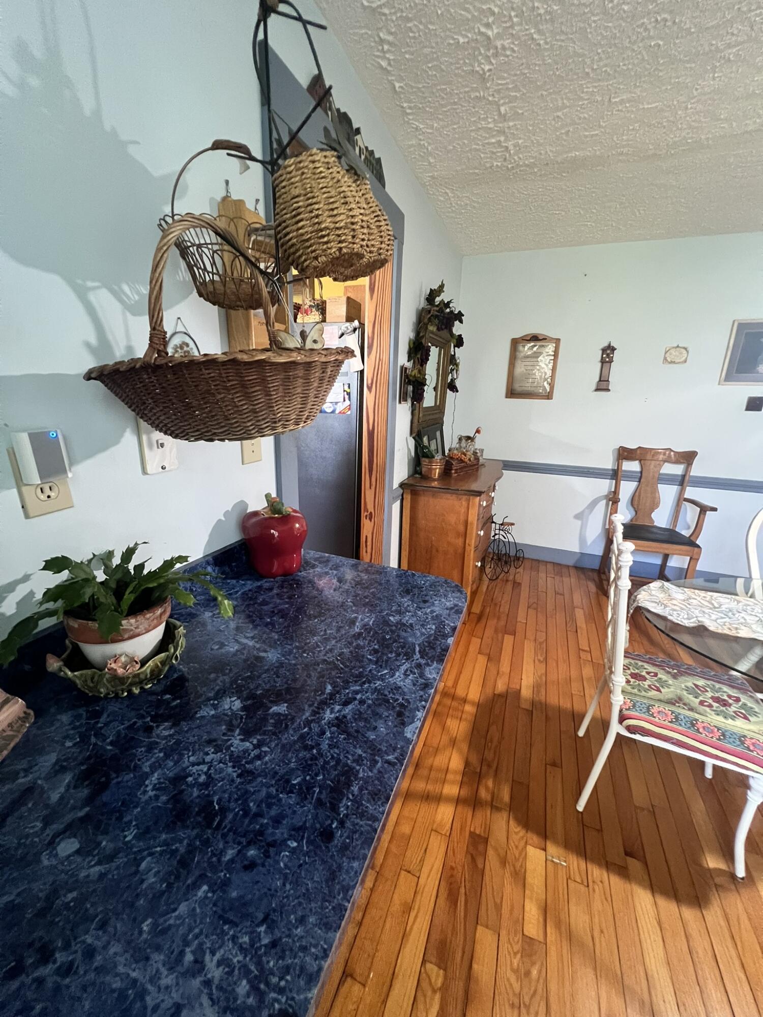 6513 Toogoodoo Road Meggett, SC 29449 - Photo 16 of 30 6513 dining entrance from kitchen