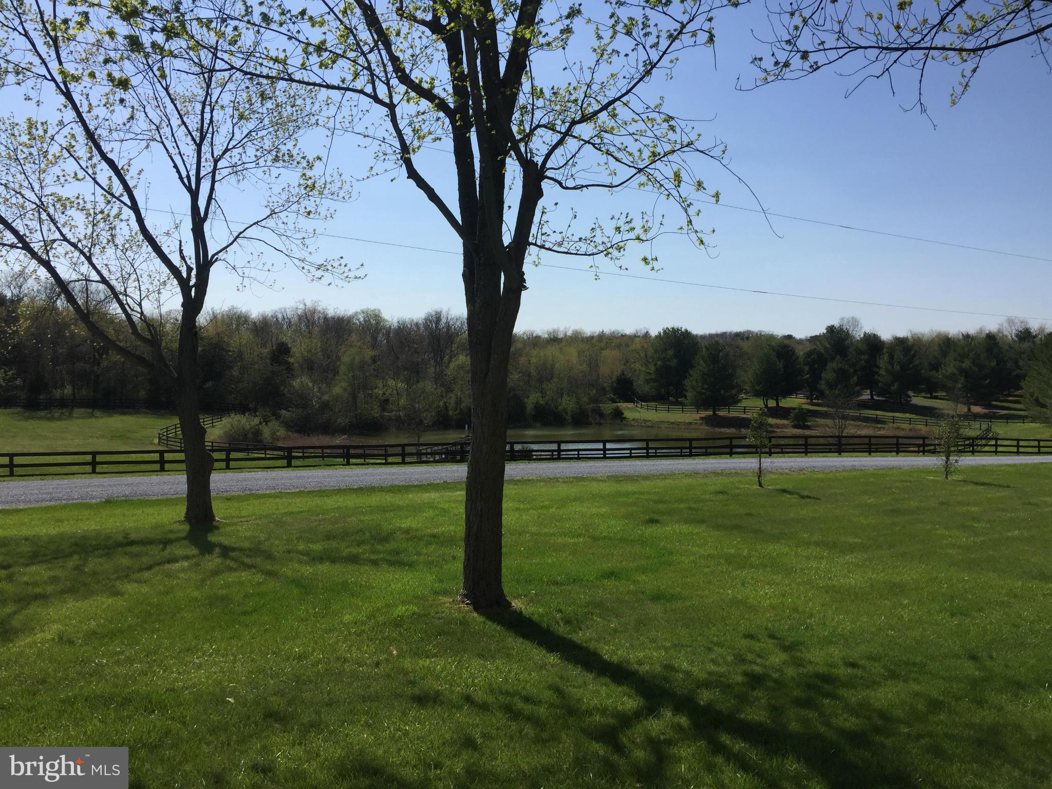 251 Christmas Tree Lane, Unit 103 Stephenson, VA 22656 - Photo 2 of 29 View From Front of Home