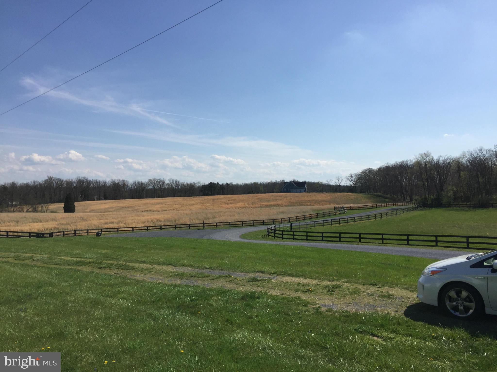 251 Christmas Tree Lane, Unit 103 Stephenson, VA 22656 - Photo 3 of 29 Open View of Surrounding Properties