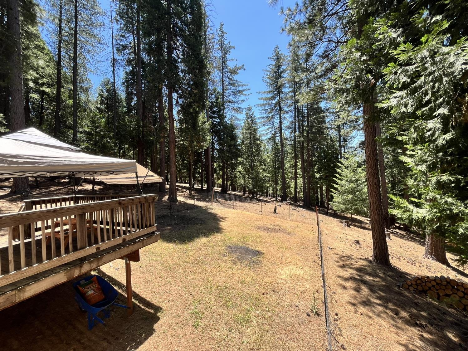 5635 Azalea Circle Pollock Pines, CA 95726 - Photo 16 of 24