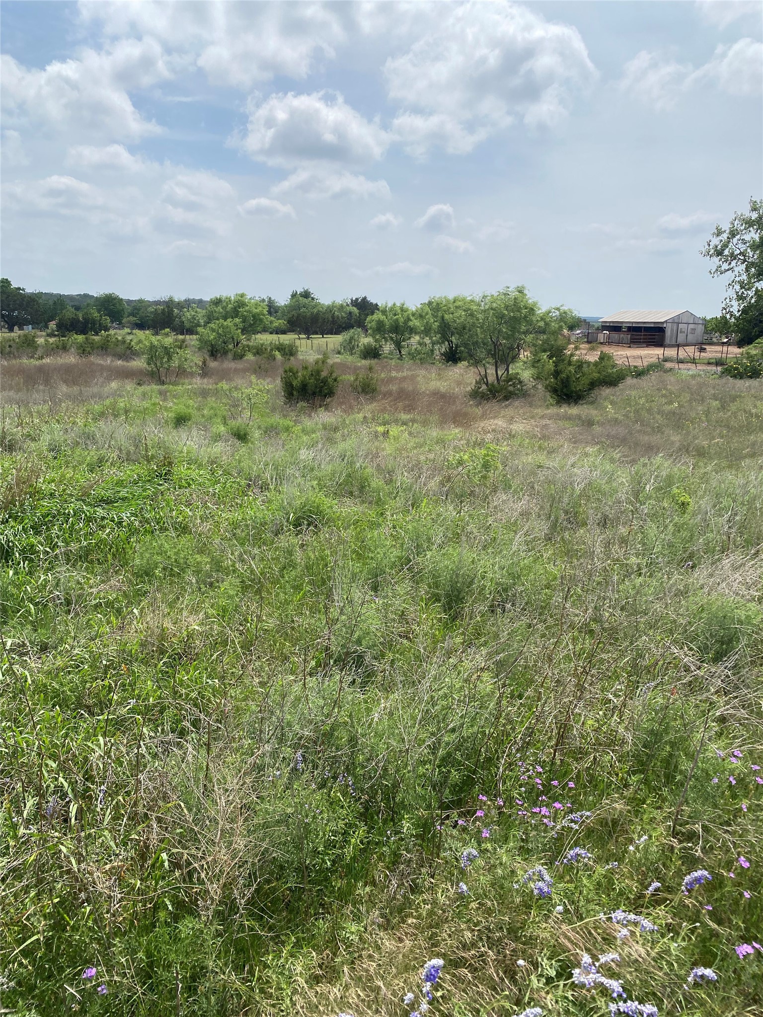 305 County Road Roads Lampasas, TX 76550 - Photo 5 of 7 Rolling green acreage unfolds under a wide sky with mature trees and outbuildings in the distance.