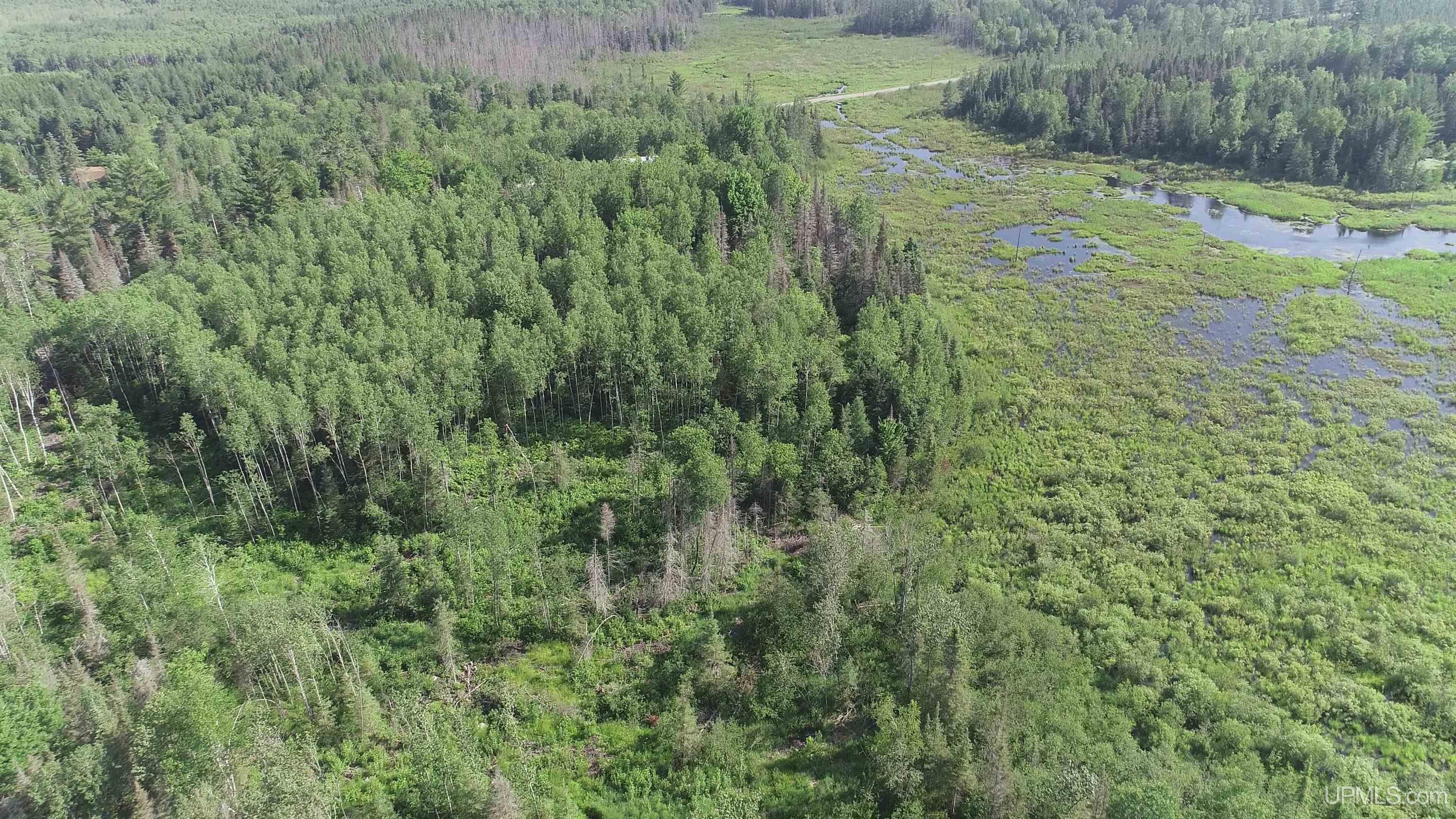 601 County Road 601 Road Republic, MI 49879 - Photo 57 of 60