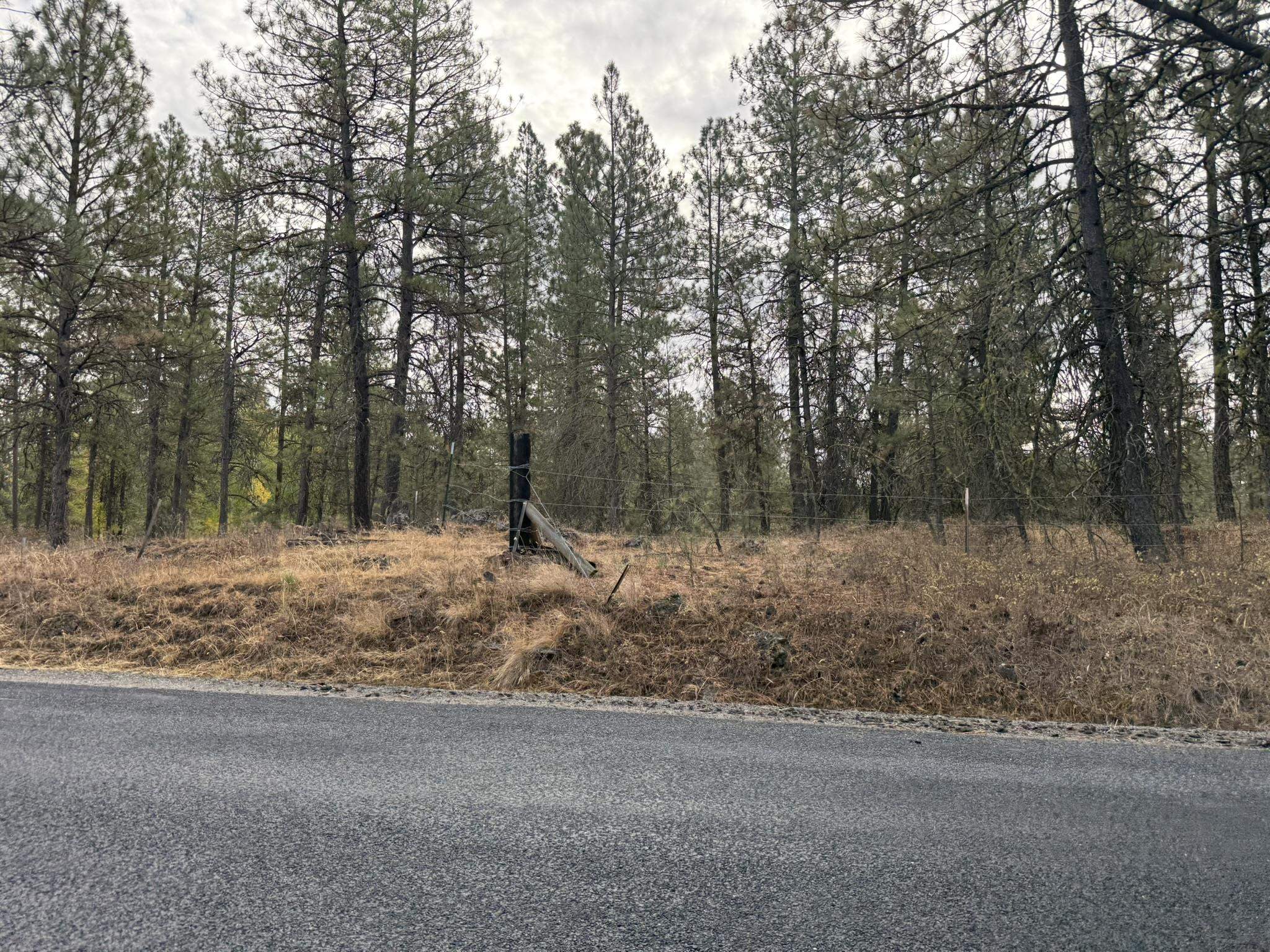 17-xxx South Malloy Prairie Road Cheney, WA 99004 - Photo 3 of 3