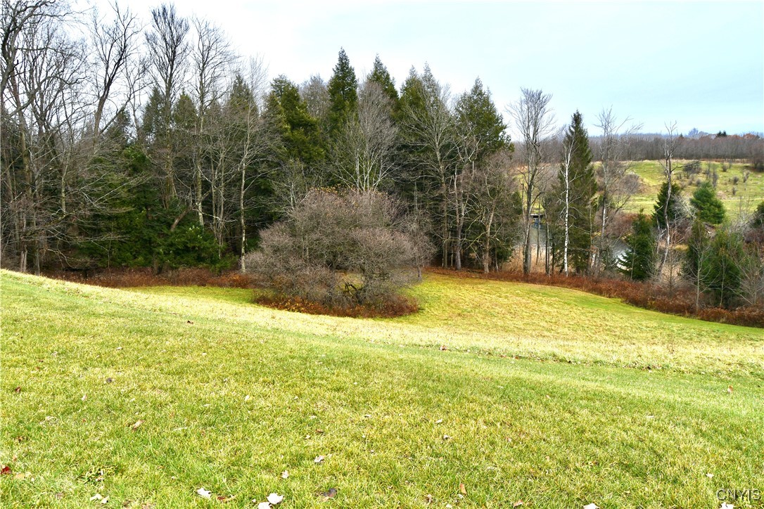 7413 Sanger Hill Road Sangerfield, NY 13480 - Photo 34 of 38