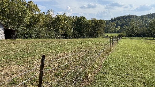 1919 Bear Creek Road Collinwood, TN 38450 - Photo 29 of 29 a view of a lake with a yard