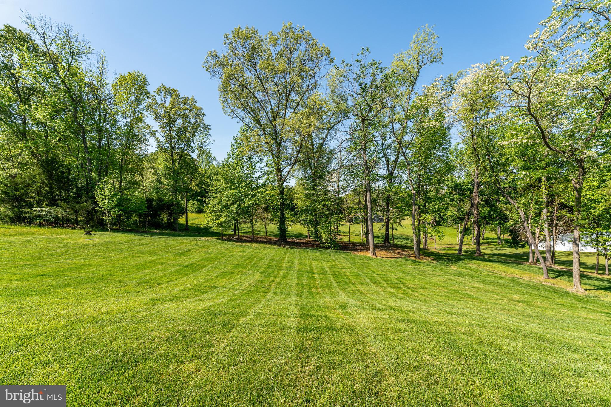 14 Chapel Ridge Stafford, VA 22554 - Photo 65 of 84