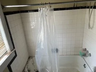 a bathroom with a shower and a tub