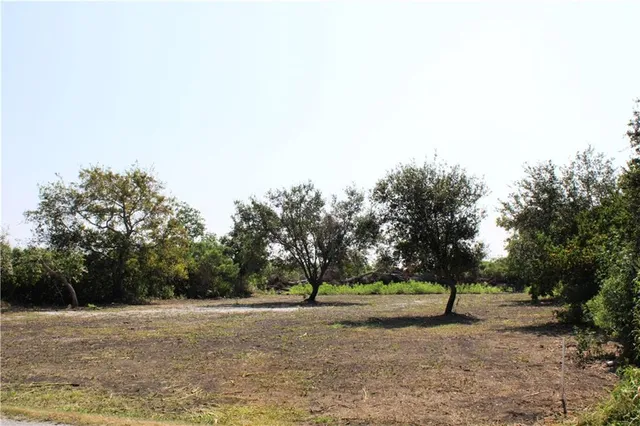 $50,000 | Tbd Delacroix Highway, St. Bernard, LA 70085