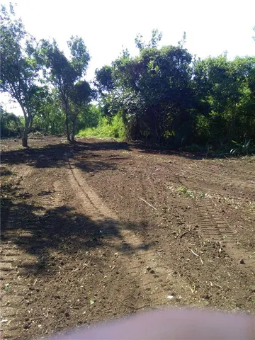 $50,000 | Tbd Delacroix Highway, St. Bernard, LA 70085