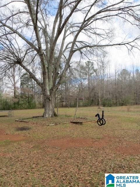 1566 Jackson Trace Road Talladega, AL 35160 - Photo 42 of 47