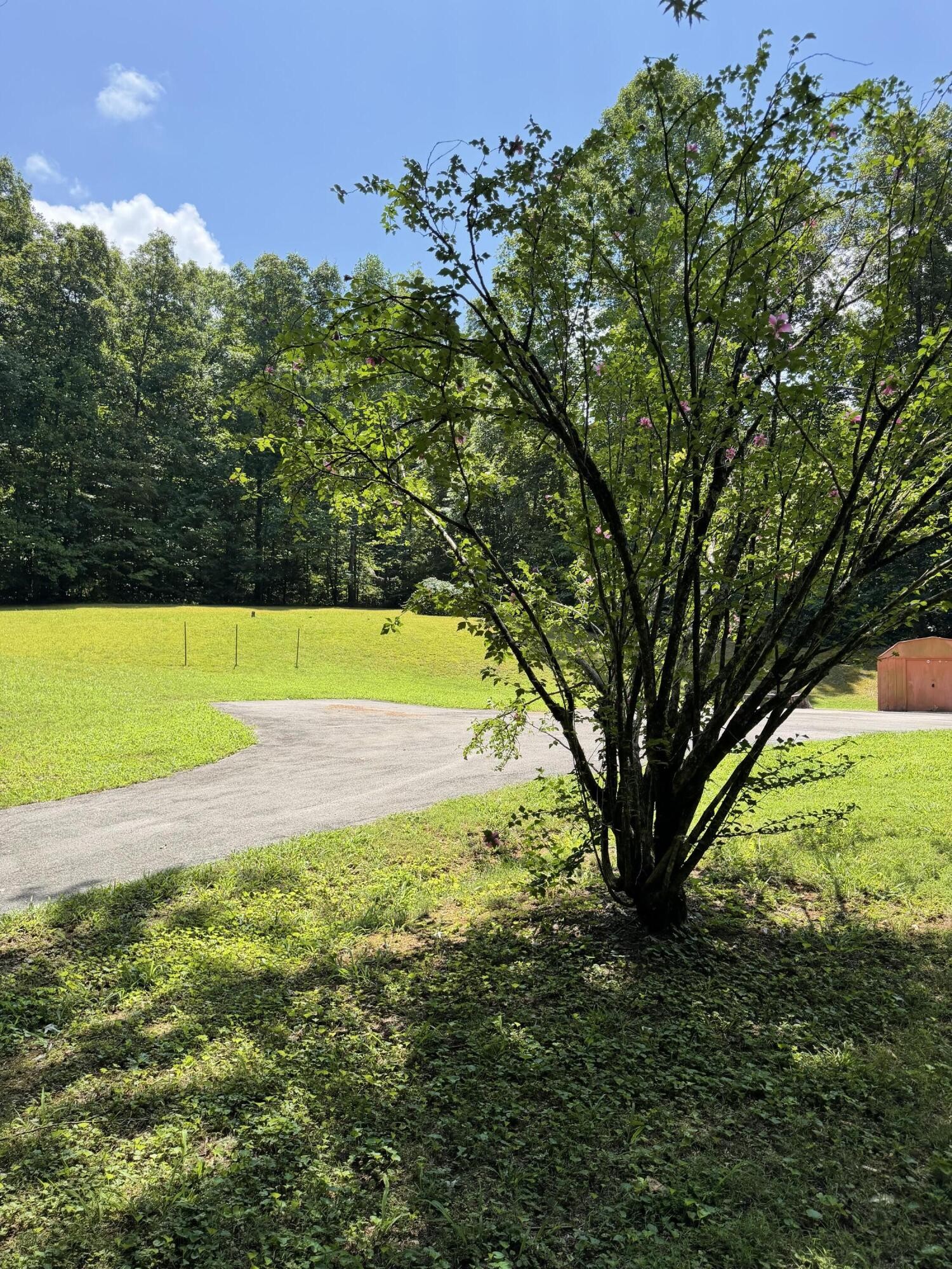 192 Lookout Tower Road Northwest Charleston, TN 37310 - Photo 16 of 21