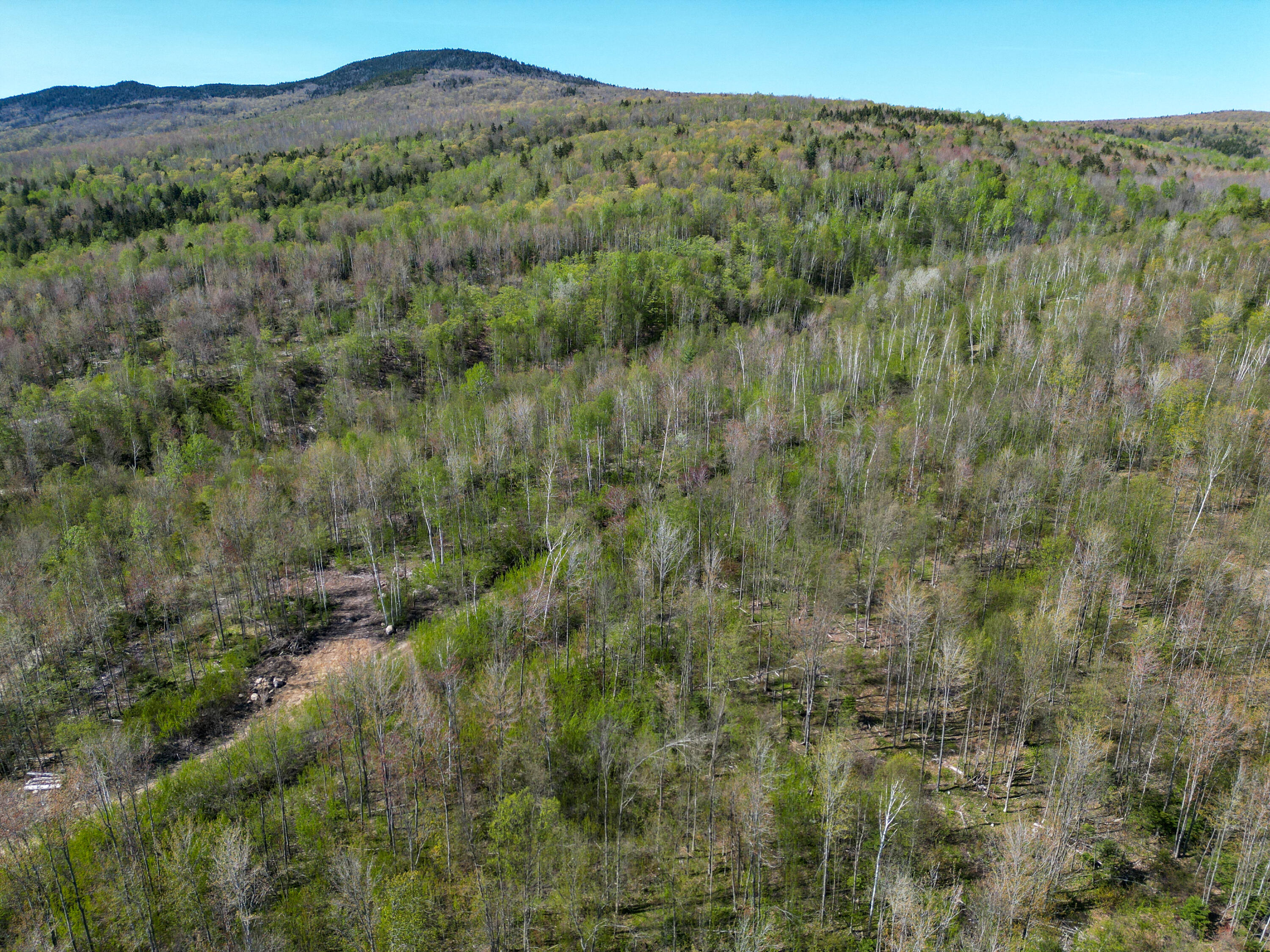 Lot 14 Kelliher Road Newry, ME 04261 - Photo 10 of 22 DJI_0514
