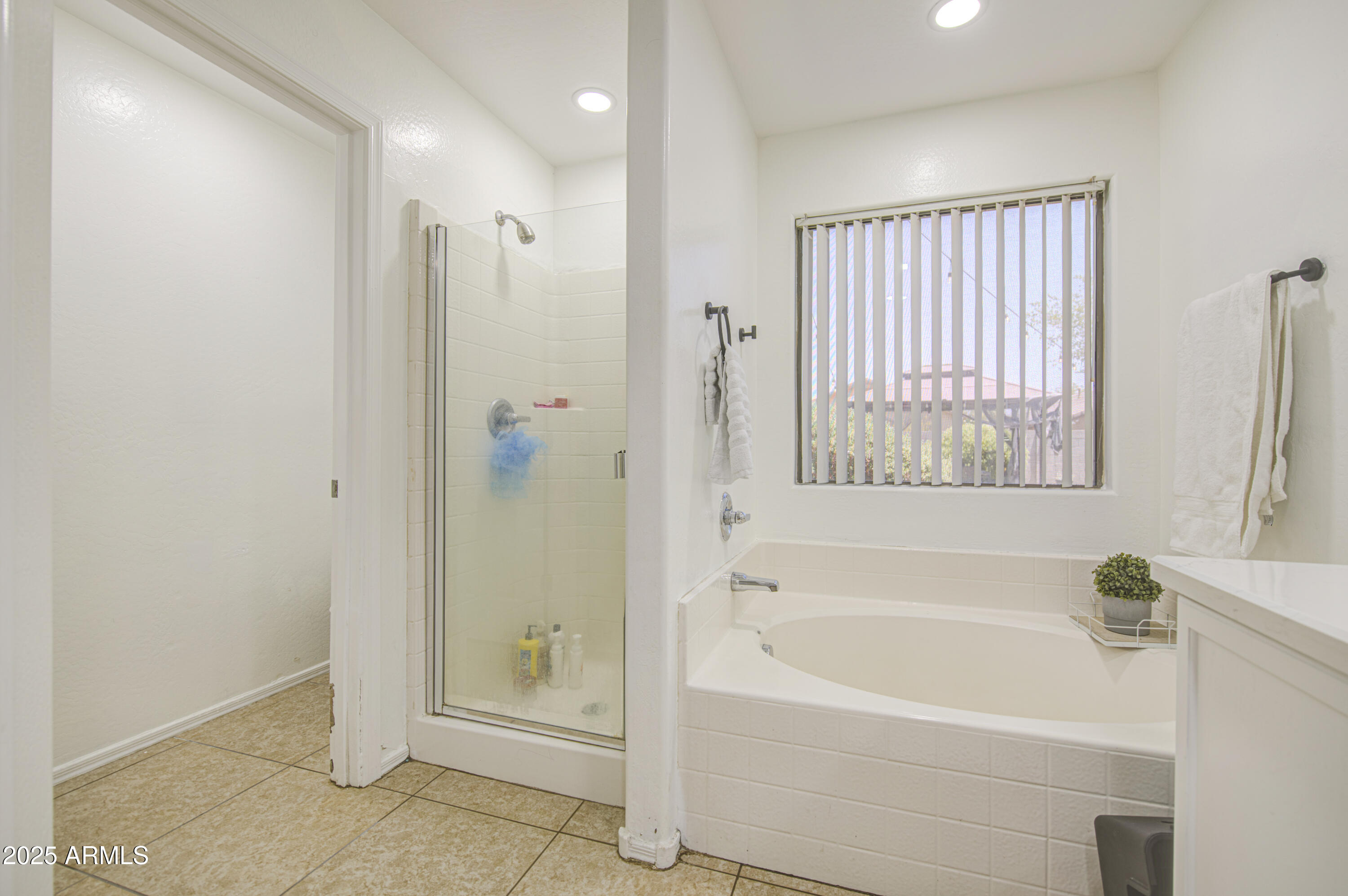 7204 West Beverly Road Laveen, AZ 85339 - Photo 29 of 45 Primary Bath 3