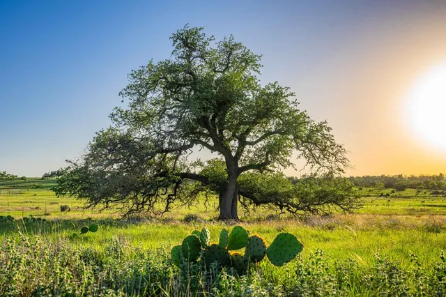 a view of a lake with houses