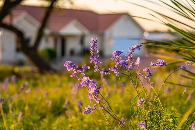 a view of a city with an ocean view