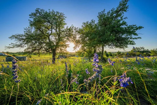 an aerial view of a house with a big yard