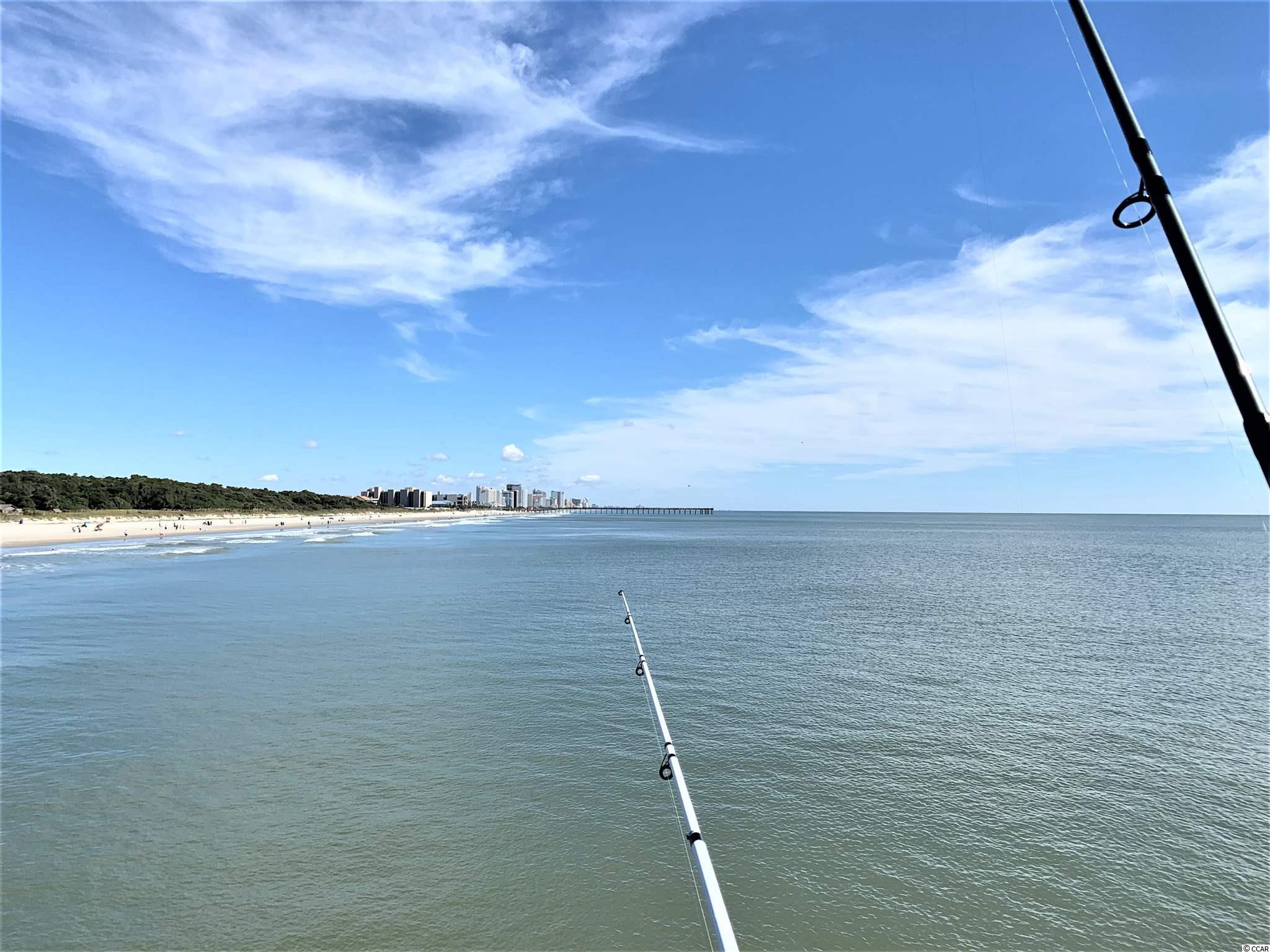 1361 Turkey Ridge Road, Unit B Surfside Beach, SC 29575 - Photo 21 of 23